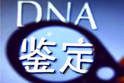 绍兴司法亲子鉴定流程是怎样的，绍兴司法亲子鉴定哪里做