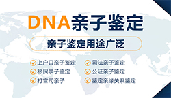 绍兴落户口亲子鉴定电话查询
