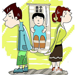 绍兴个人办理亲子鉴定如何办理，绍兴DNA鉴定的流程