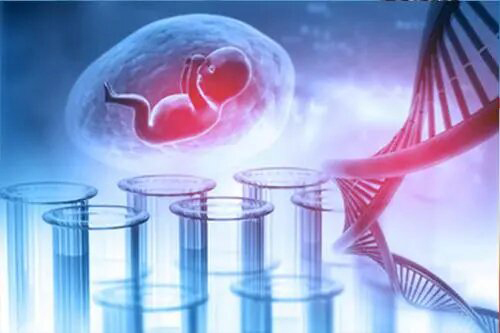 绍兴怀孕怎么做亲子鉴定,绍兴怀孕做亲子鉴定流程