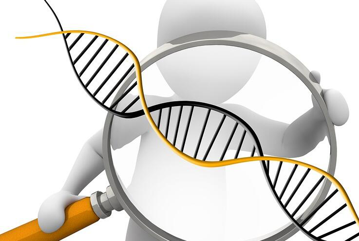 绍兴怎么私下做亲子鉴定,绍兴血缘检测需要提供什么