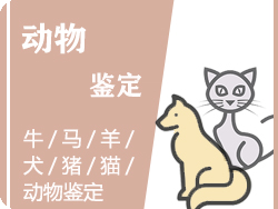 绍兴动物鉴定