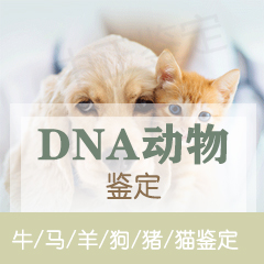 绍兴动物鉴定
